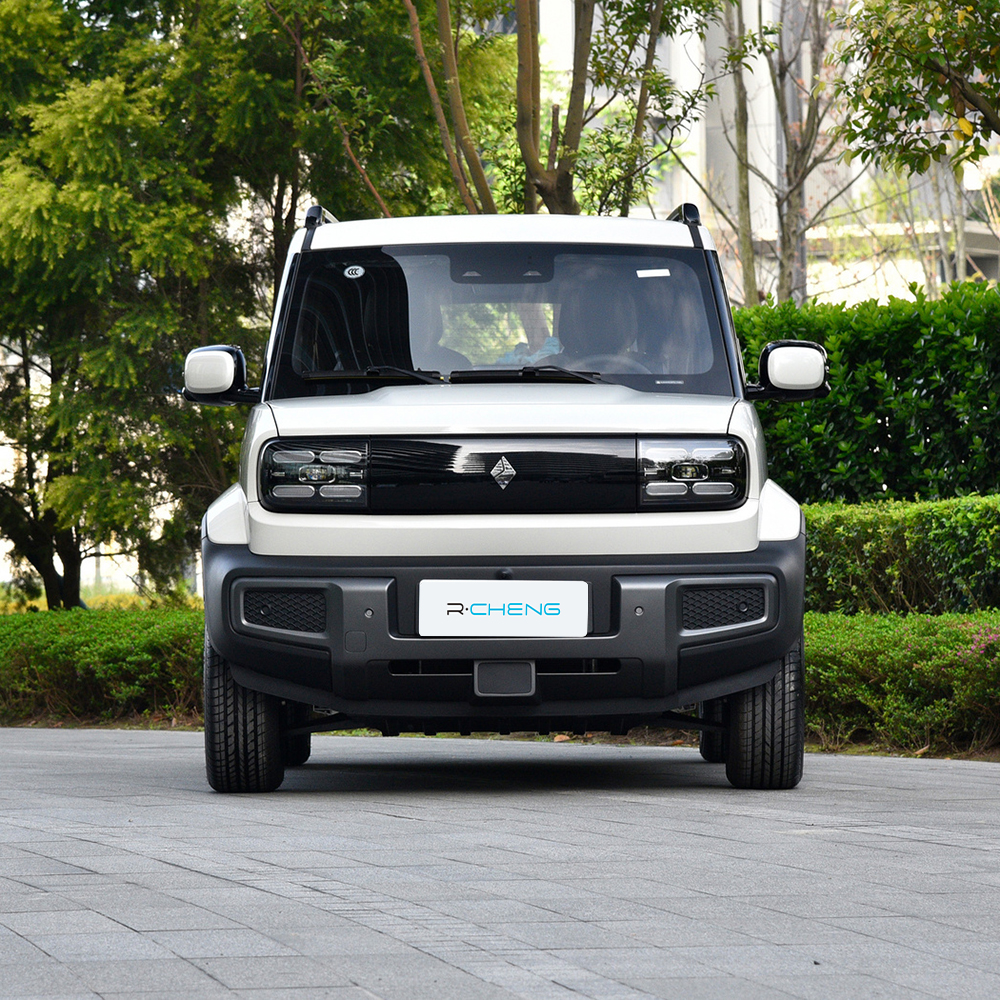 Electric Wuling Baojun EV Flagship Version 195/60 R15 RWD 3 Doors 4 Seats SUV Baojun EV New Car